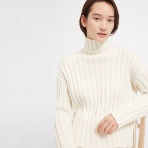 Everlane Cashmere-Wool Ribbed Turtleneck